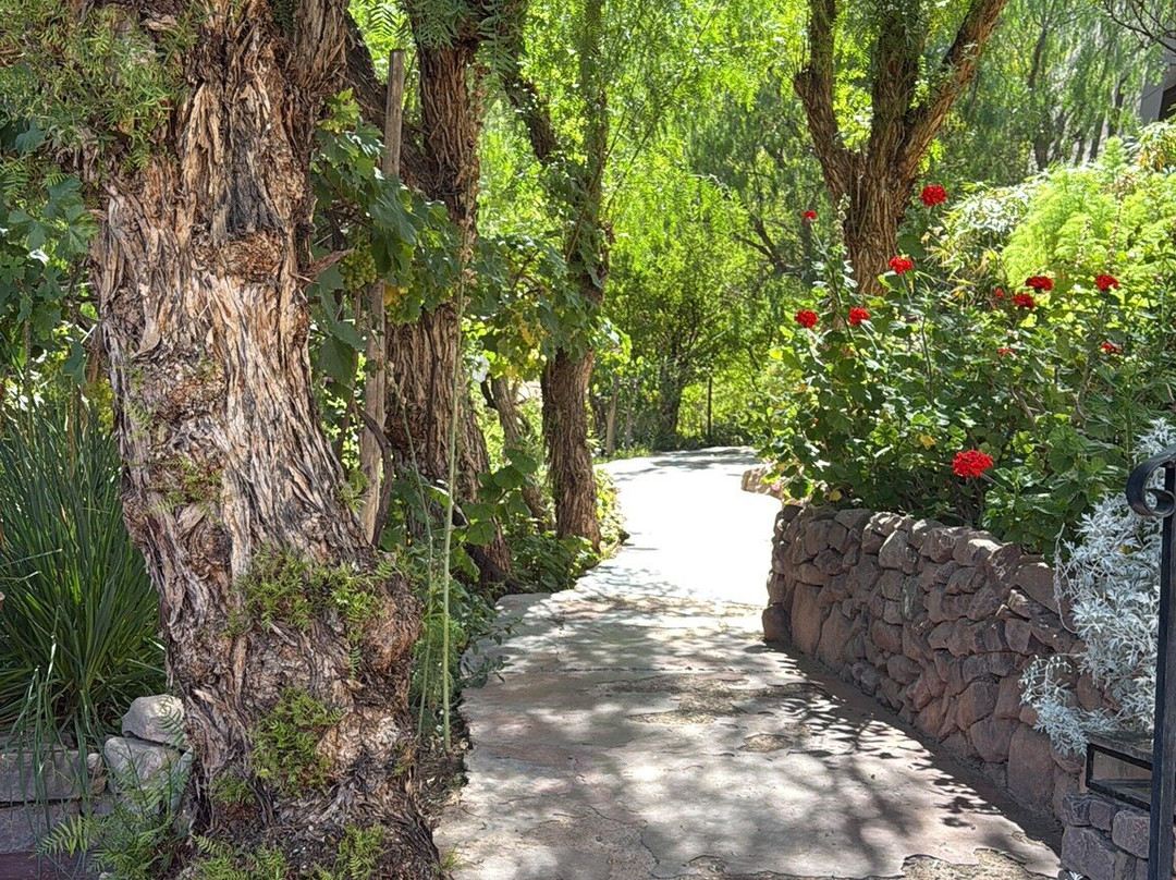 Las Terrazas Hotel Boutique主图