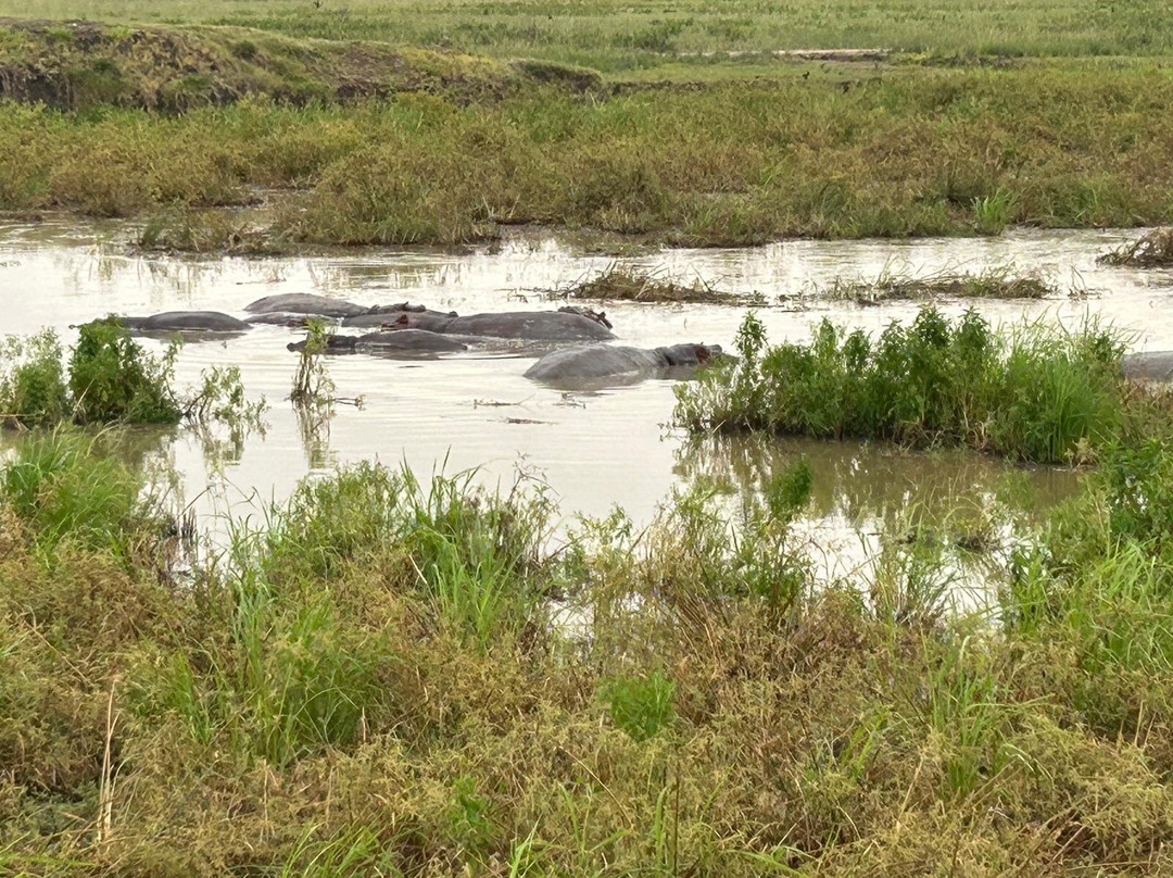 Passionate Safaris-Dar es Salaam必去景点