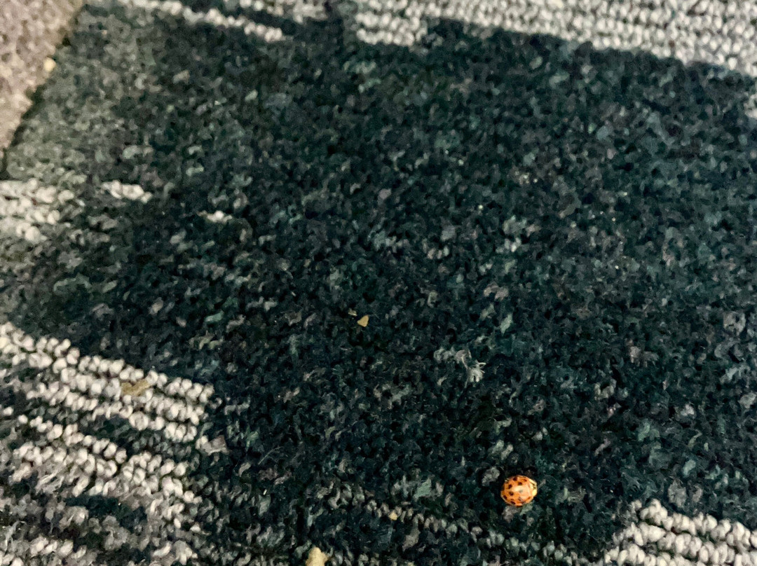 米利奇维尔费尔菲尔德旅馆&套房酒店主图