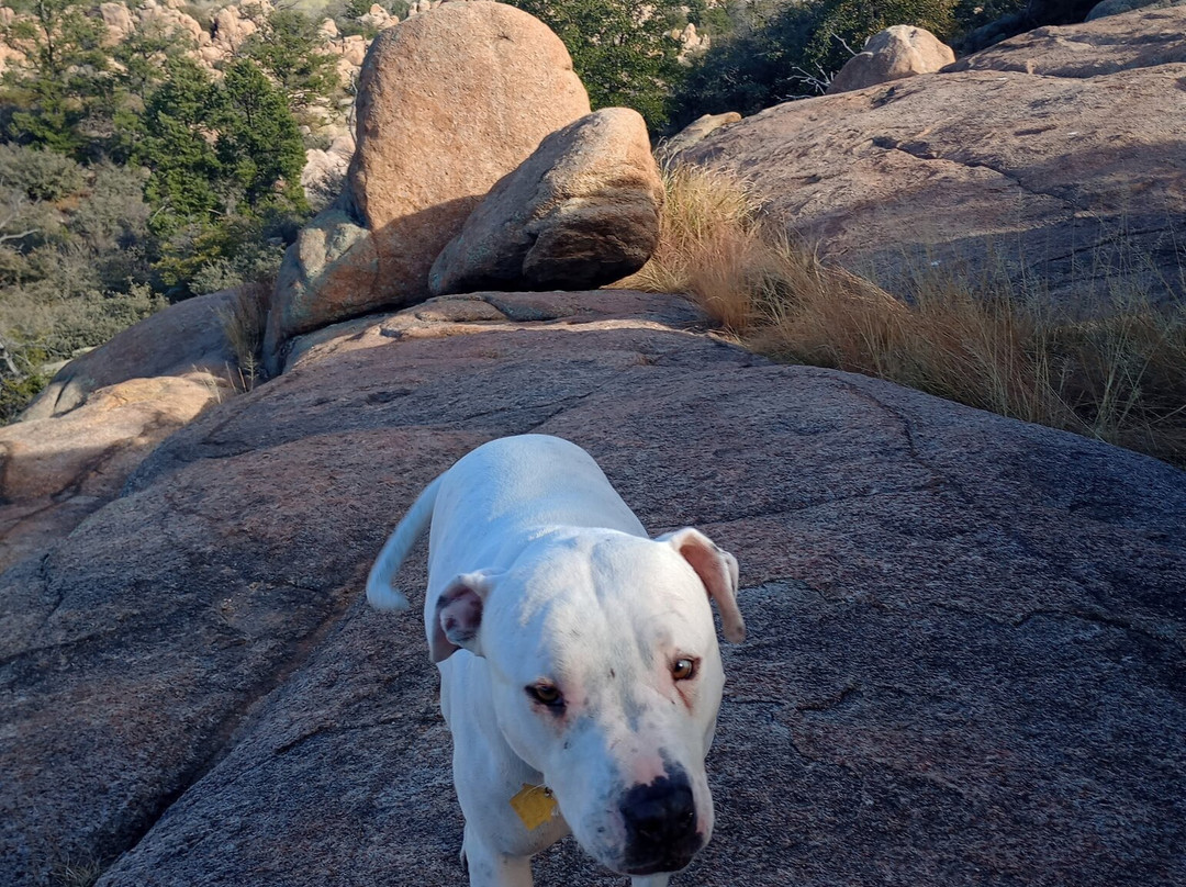 Constellation Trails-普雷斯科特必去景点