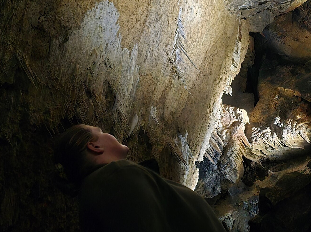 Gunns Plains Caves-Gunns Plains必去景点
