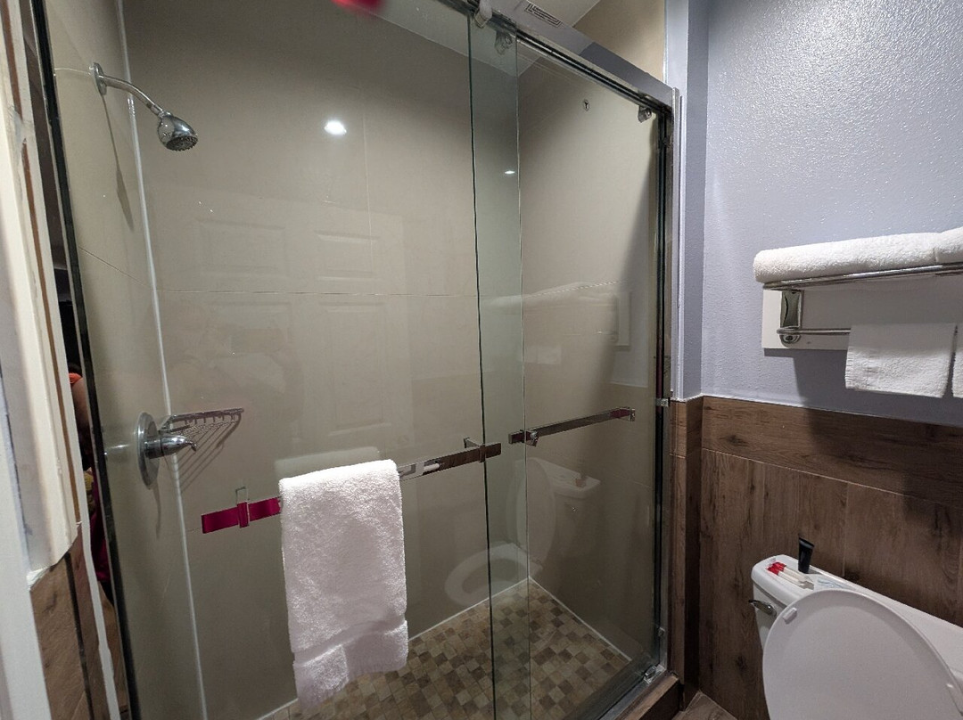 Baymont by Wyndham Kingwood主图