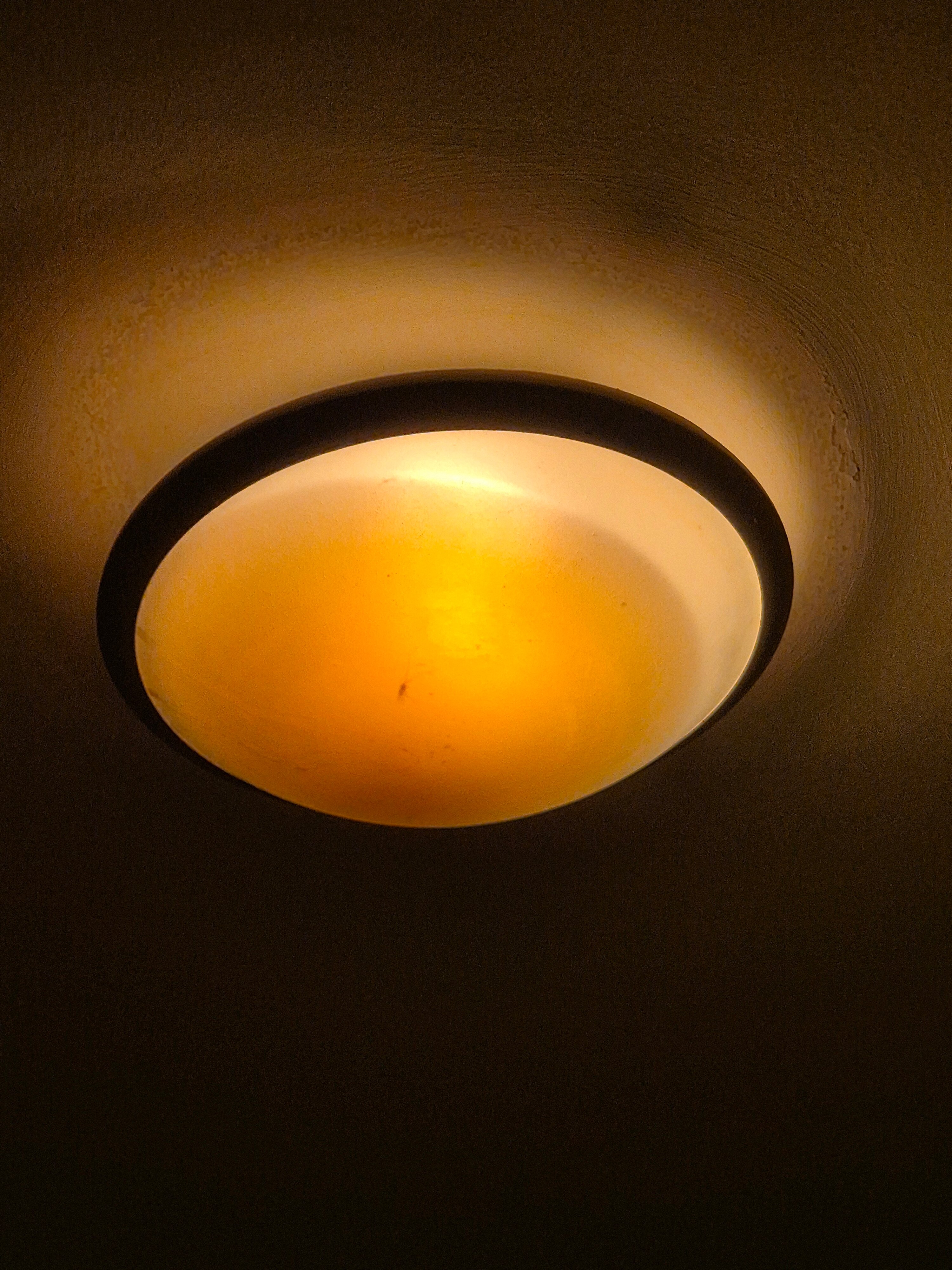 Shamrock Lodge Hotel-官方