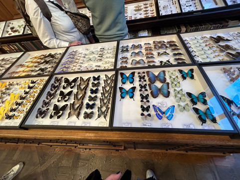 天牛-巴黎必去景点