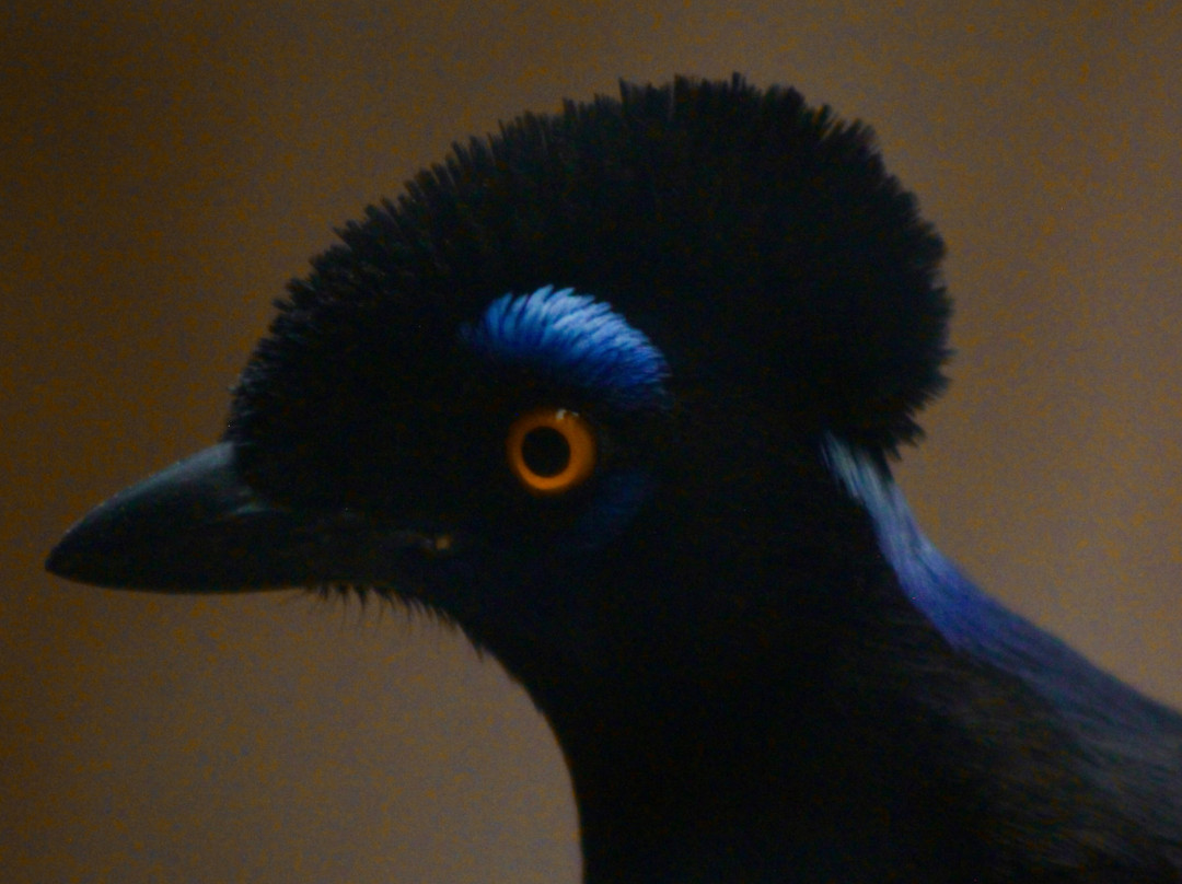 El Paso Zoo-埃尔帕索必去景点