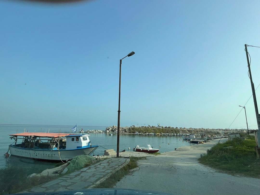 Nikites旅游攻略图片