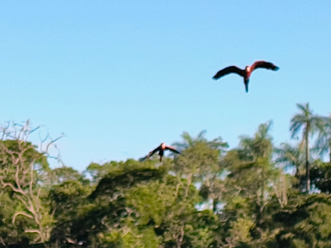 Buraco das Araras Ecoturismo-雅尔丁必去景点