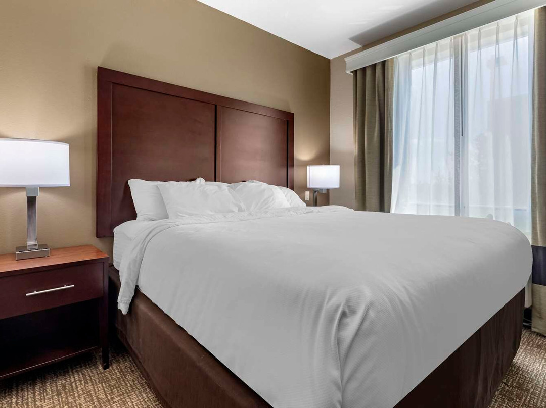 Comfort Suites Plano - Dallas North