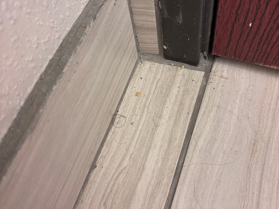 Holiday Inn Express & Suites Maryville By IHG主图