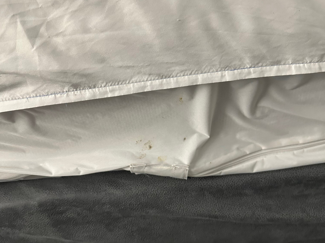 Sleep Inn & Suites主图