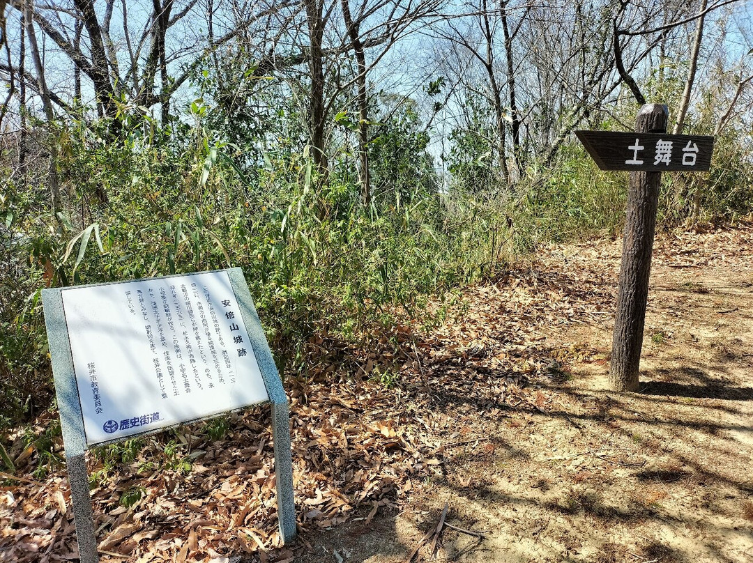 Soil Stage-樱井市必去景点