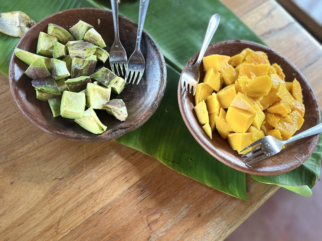 Kilimanjaro Cultural Experience-乞力马扎罗山国家公园必去景点