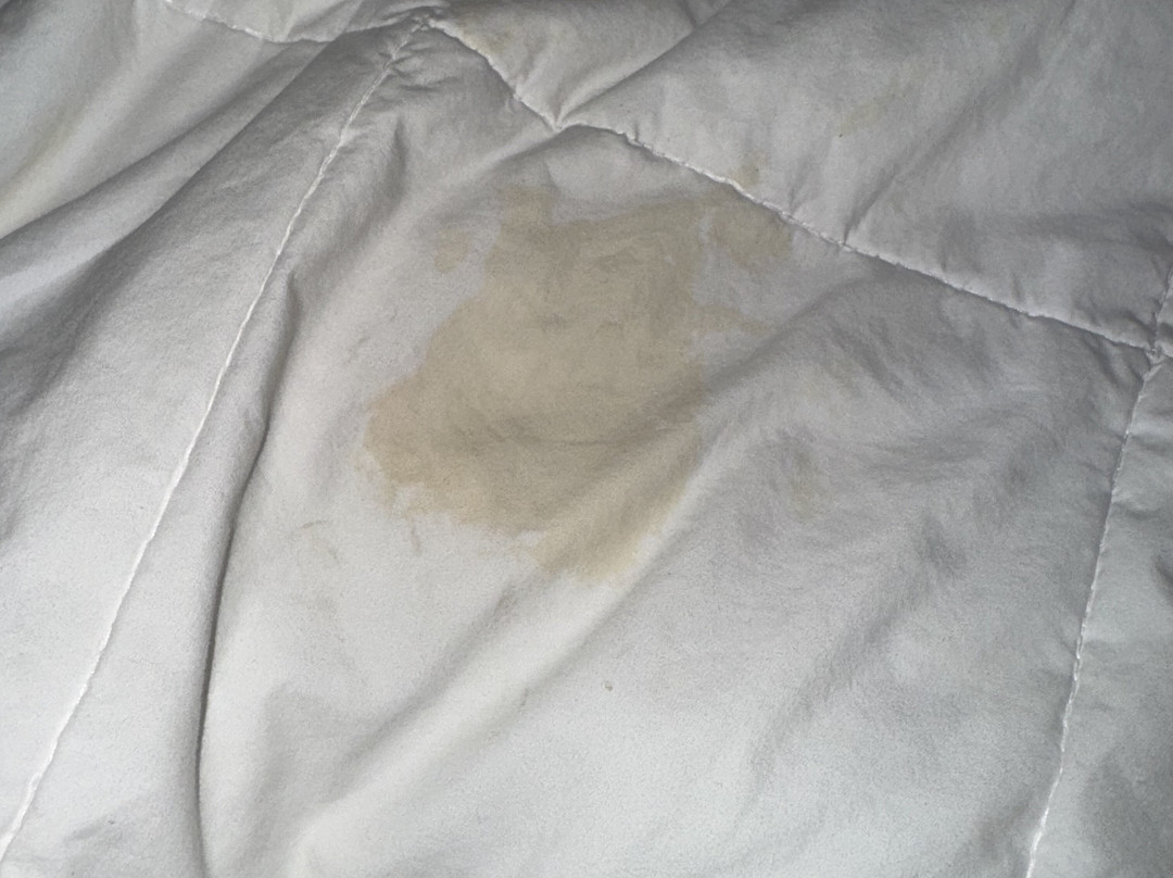 AmericInn by Wyndham Green Bay Near Stadium主图