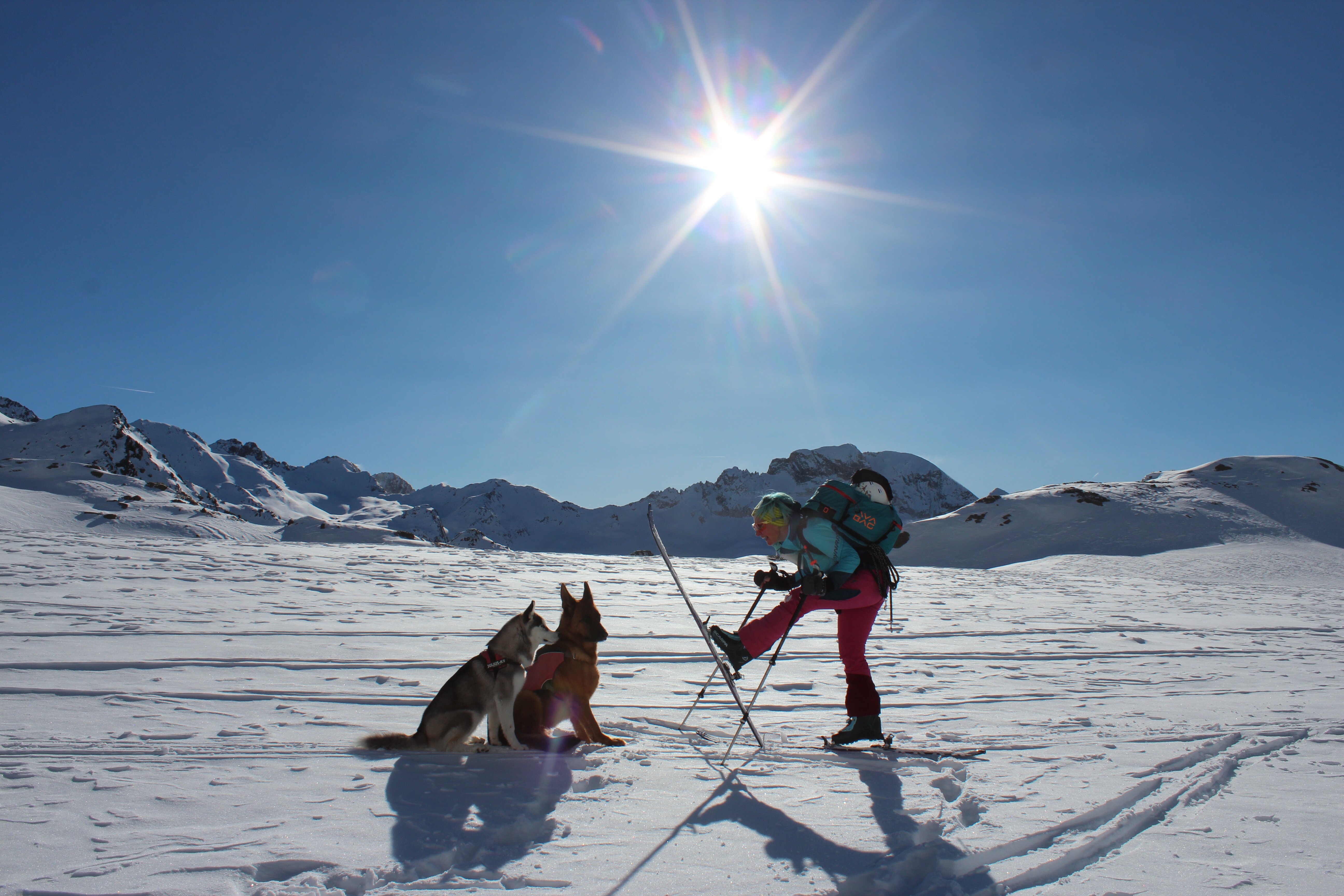 Pension Widmann-官方