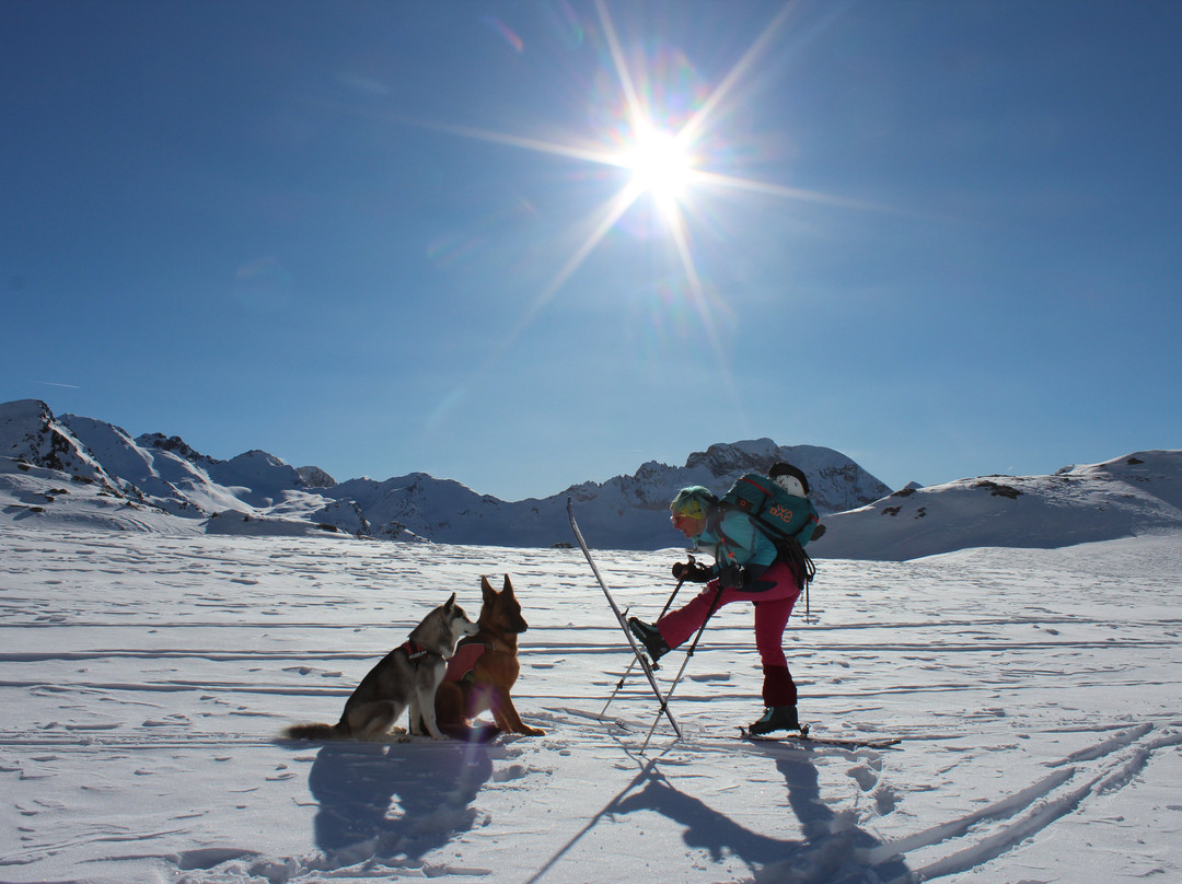 Pension Widmann主图