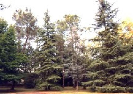 L'Aiguade Maison d'hôtes主图