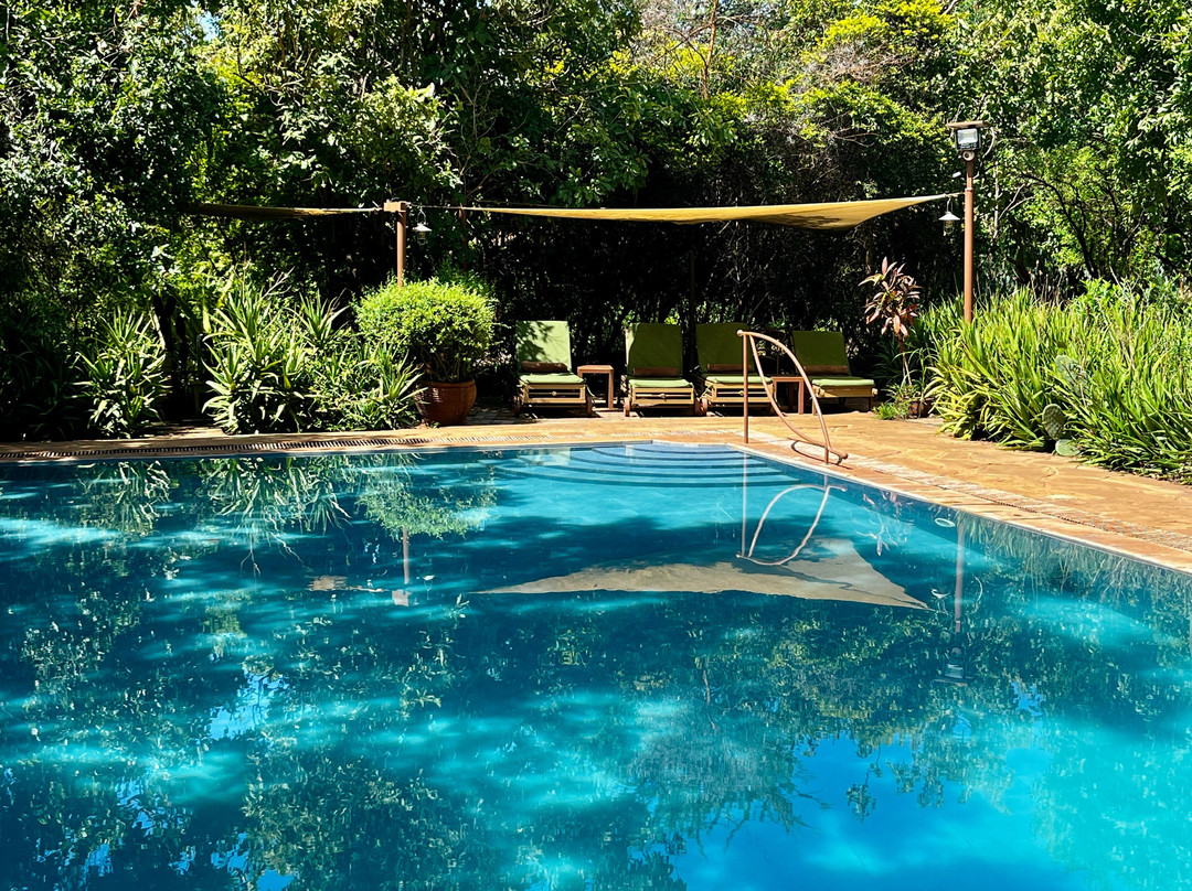 爱威塔野生动物园营地酒店主图