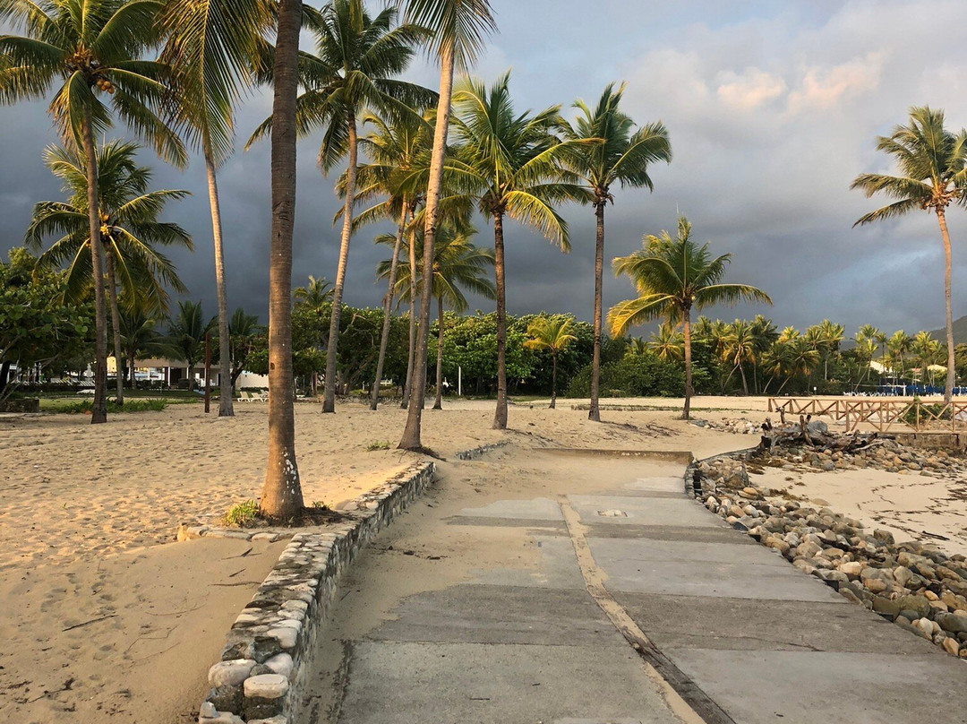 Emotions by Hodelpa Puerto Plata