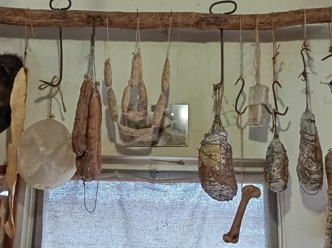 Museo Della Civilta' Contadina景点图片