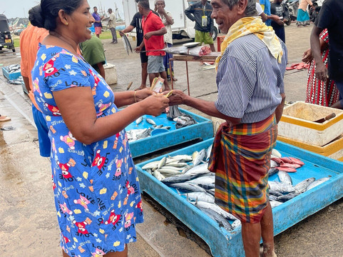 DM Lanka Tours-卡图纳耶克必去景点