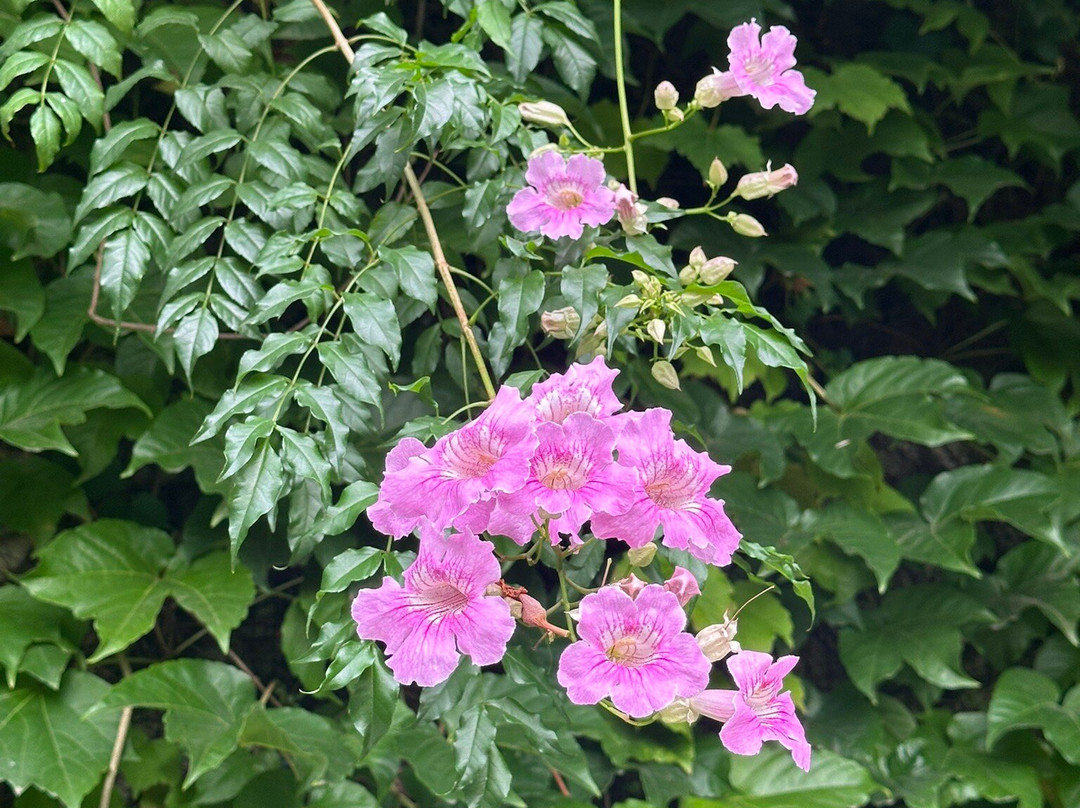 布宜诺斯艾利斯家园酒店主图