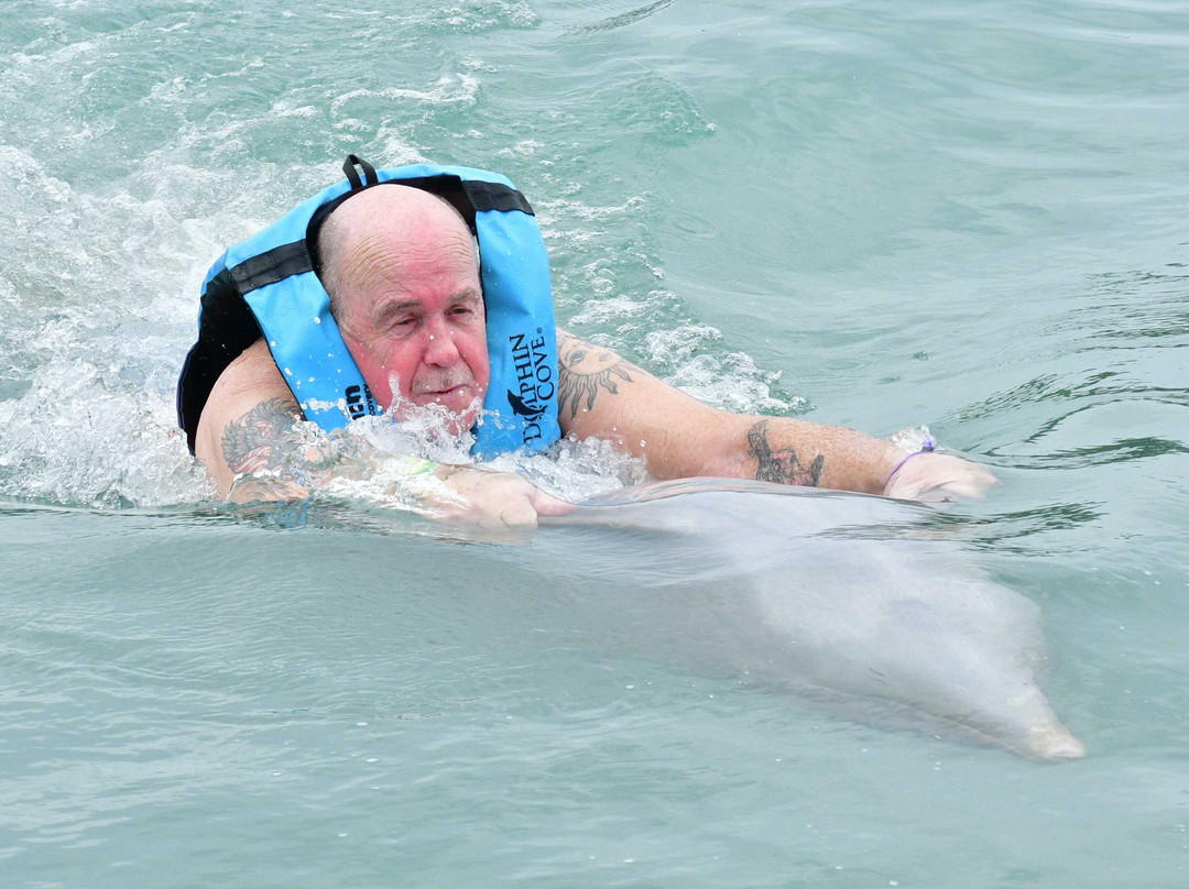 Dolphin Cove Montego Bay景点图片