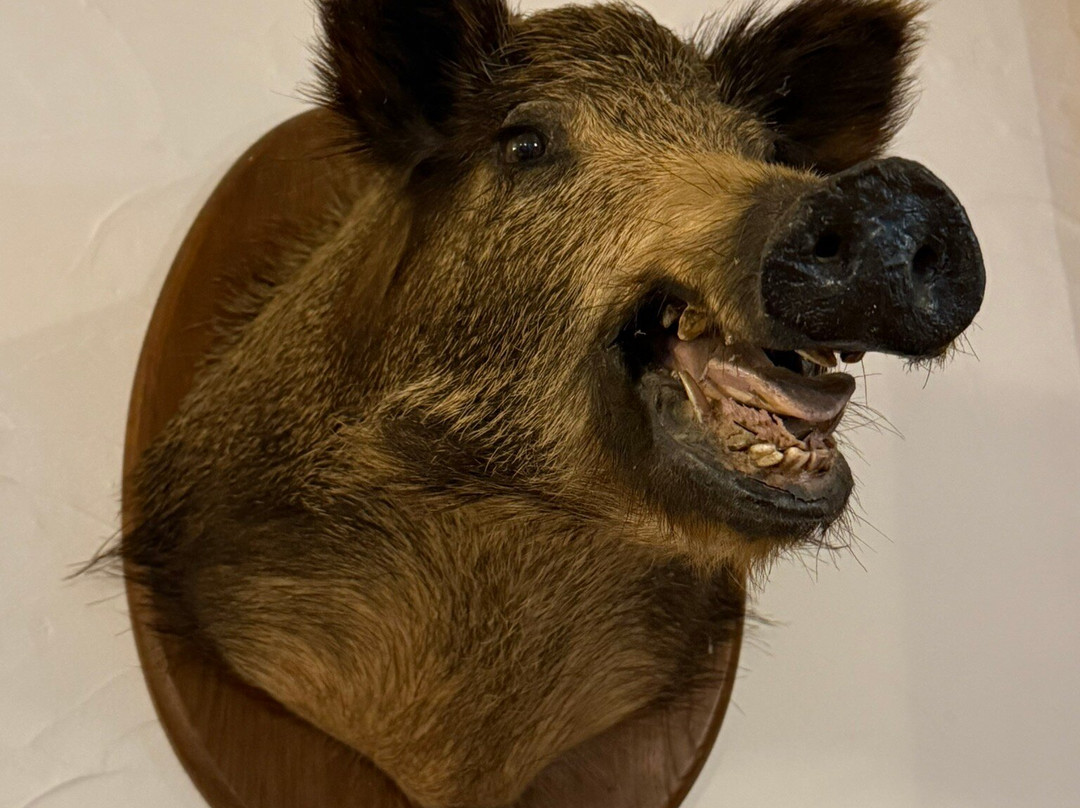 Hotel La Pitchounette主图