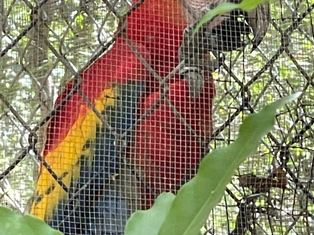 International Animal Rescue Costa Rica-诺萨拉必去景点