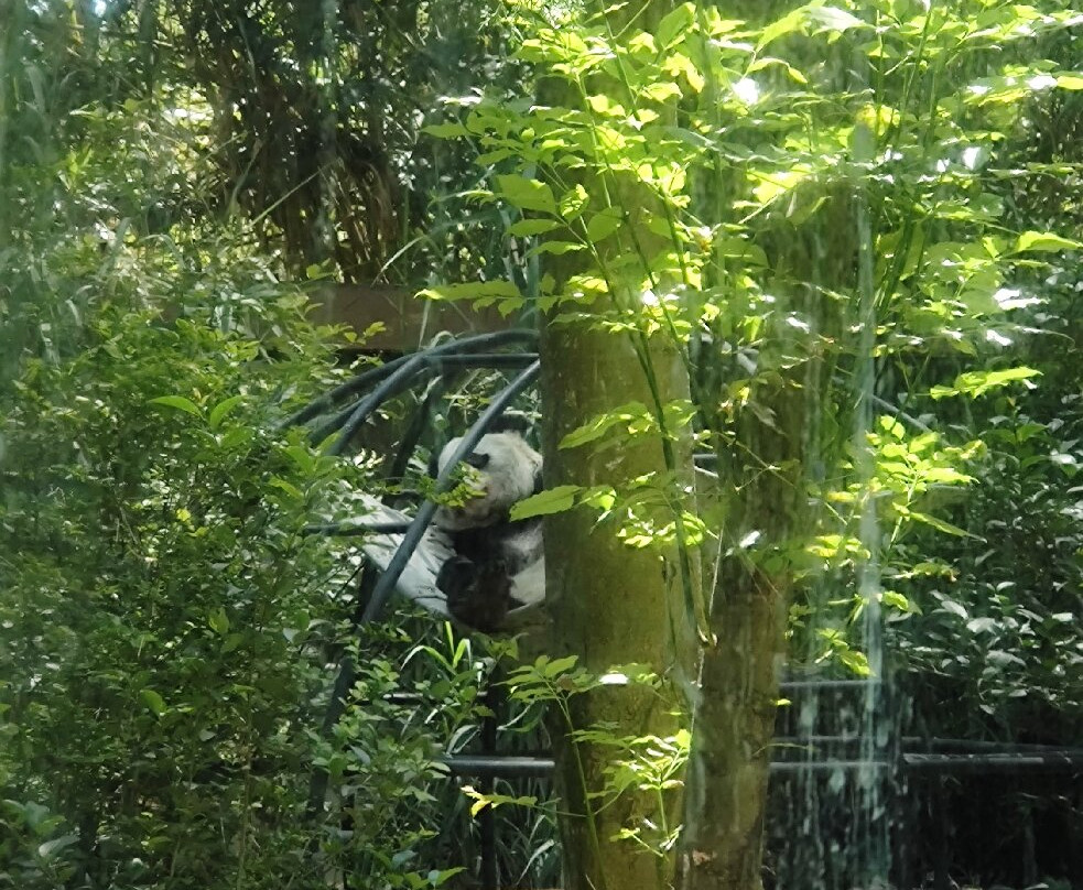 Zoológico de Chapultepec-墨西哥城必去景点