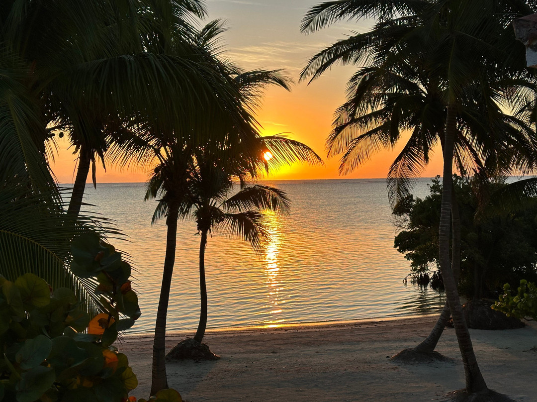 Diving Xcalak-Xcalak必去景点