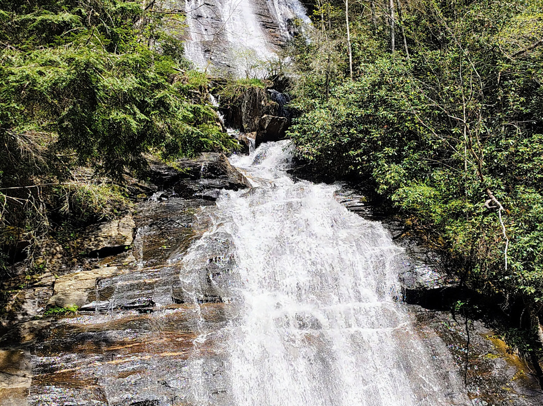 Habersham Vineyards & Winery-海伦必去景点