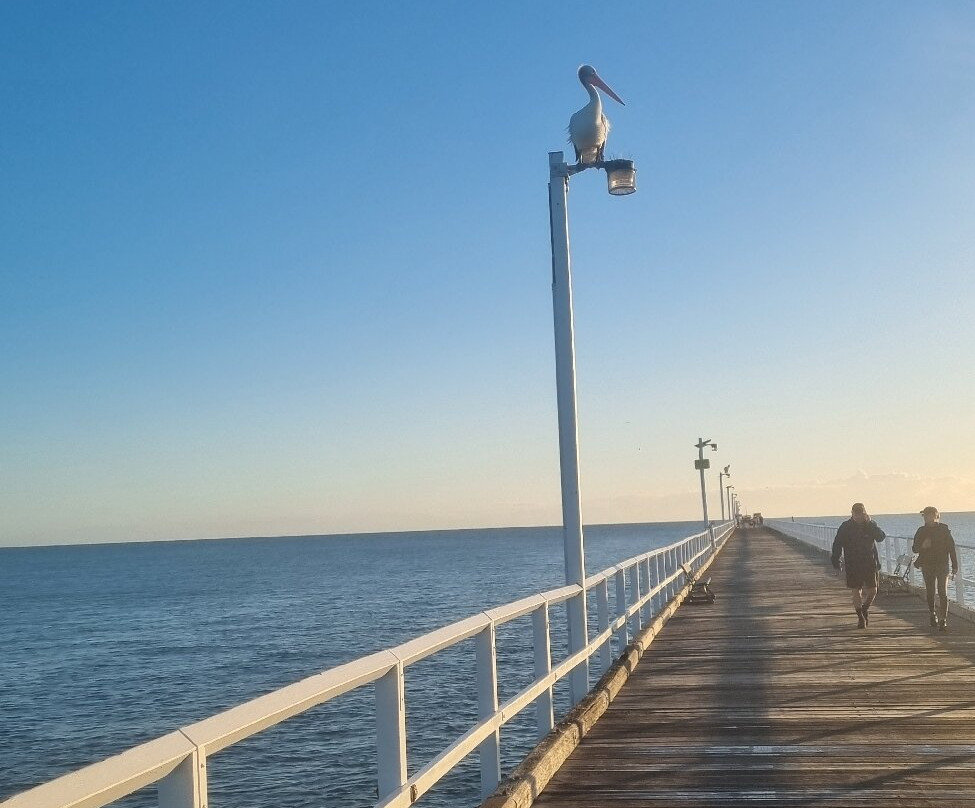 Urangan Pier景点图片
