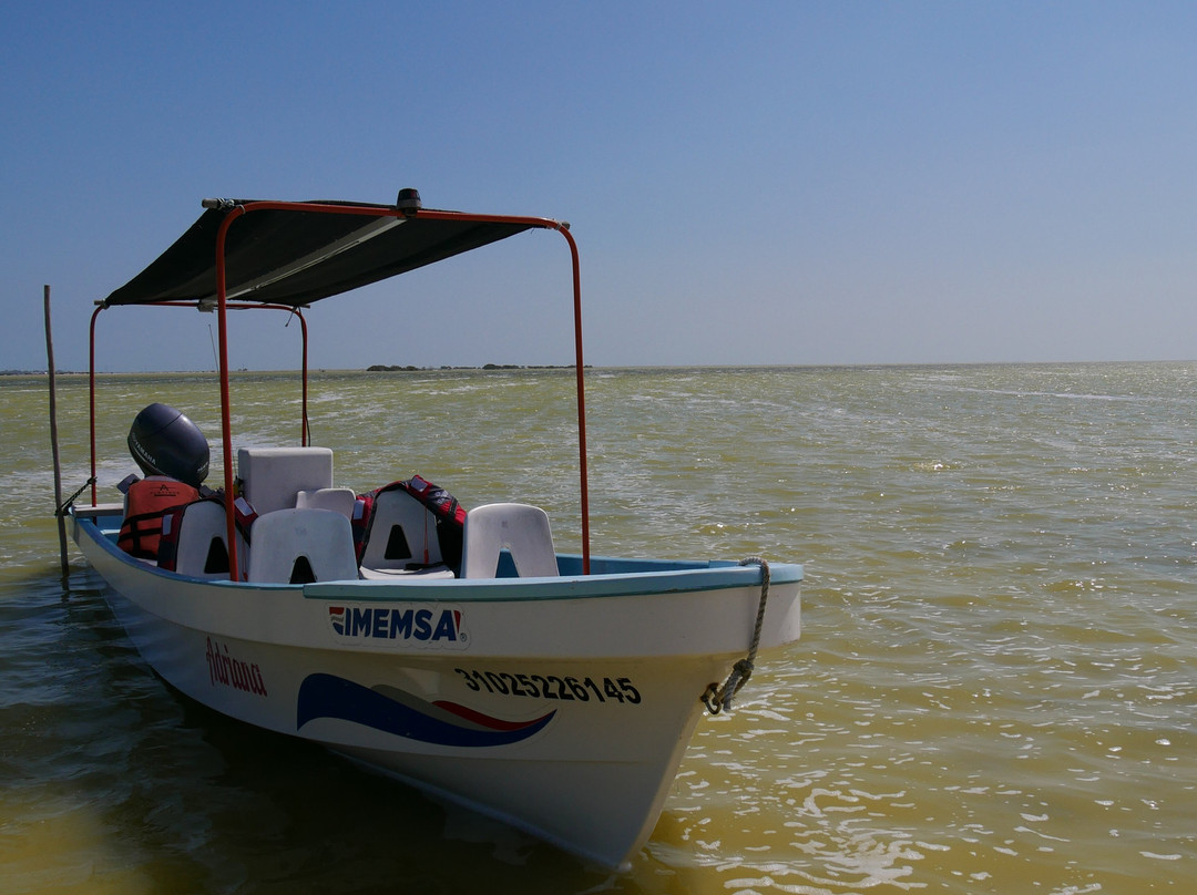 Boat tour with Martín Aguiñaga-里奥拉加托斯必去景点