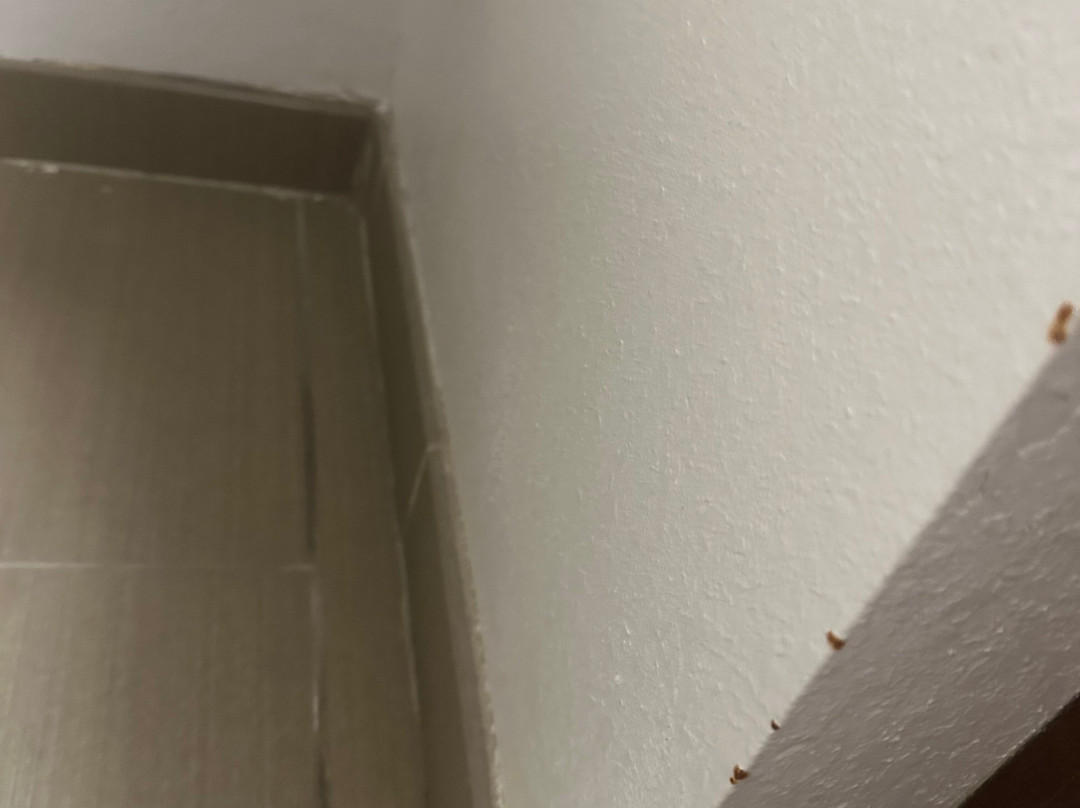 Comfort Inn Collinsville Near St. Louis主图