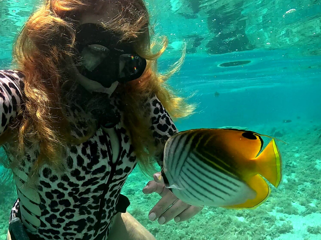 Malta Snorkel Adventures