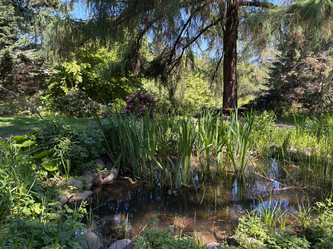 Botanic Gardens Kiel-基尔必去景点