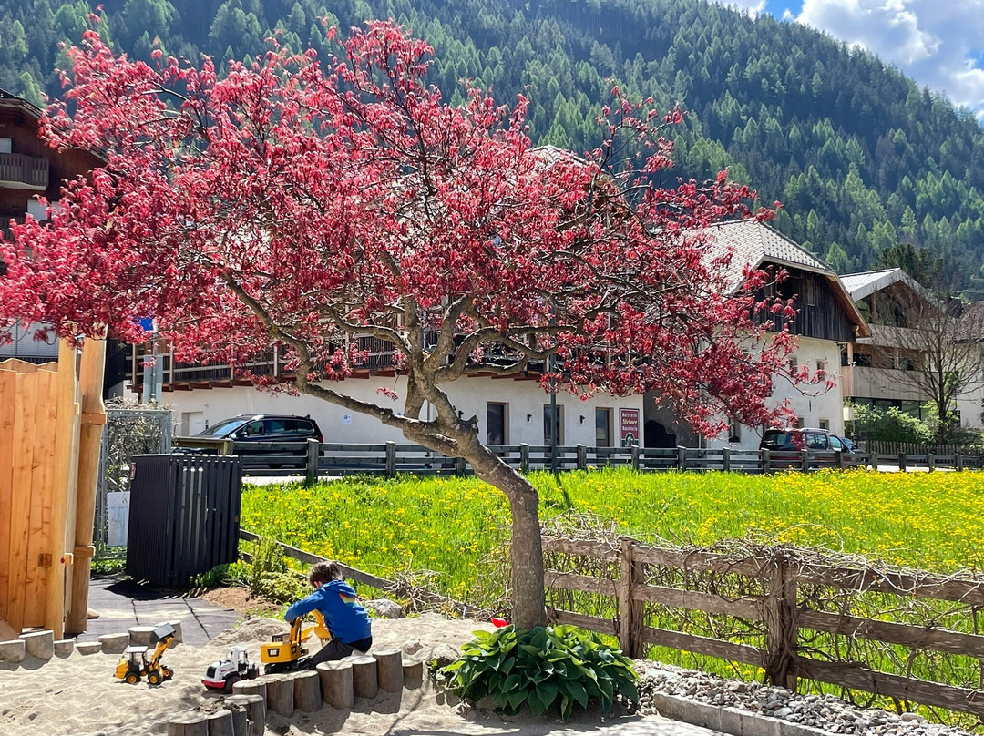 Alpenhof Dolomit Family主图