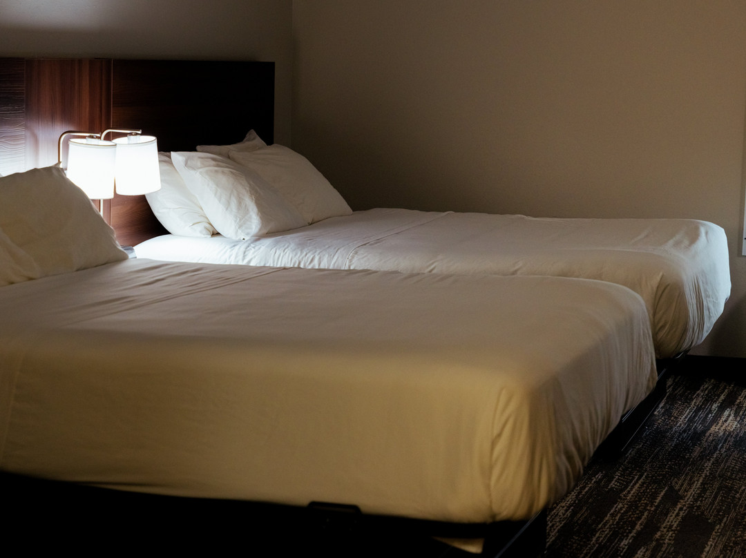 迪拉德智选假日酒店主图