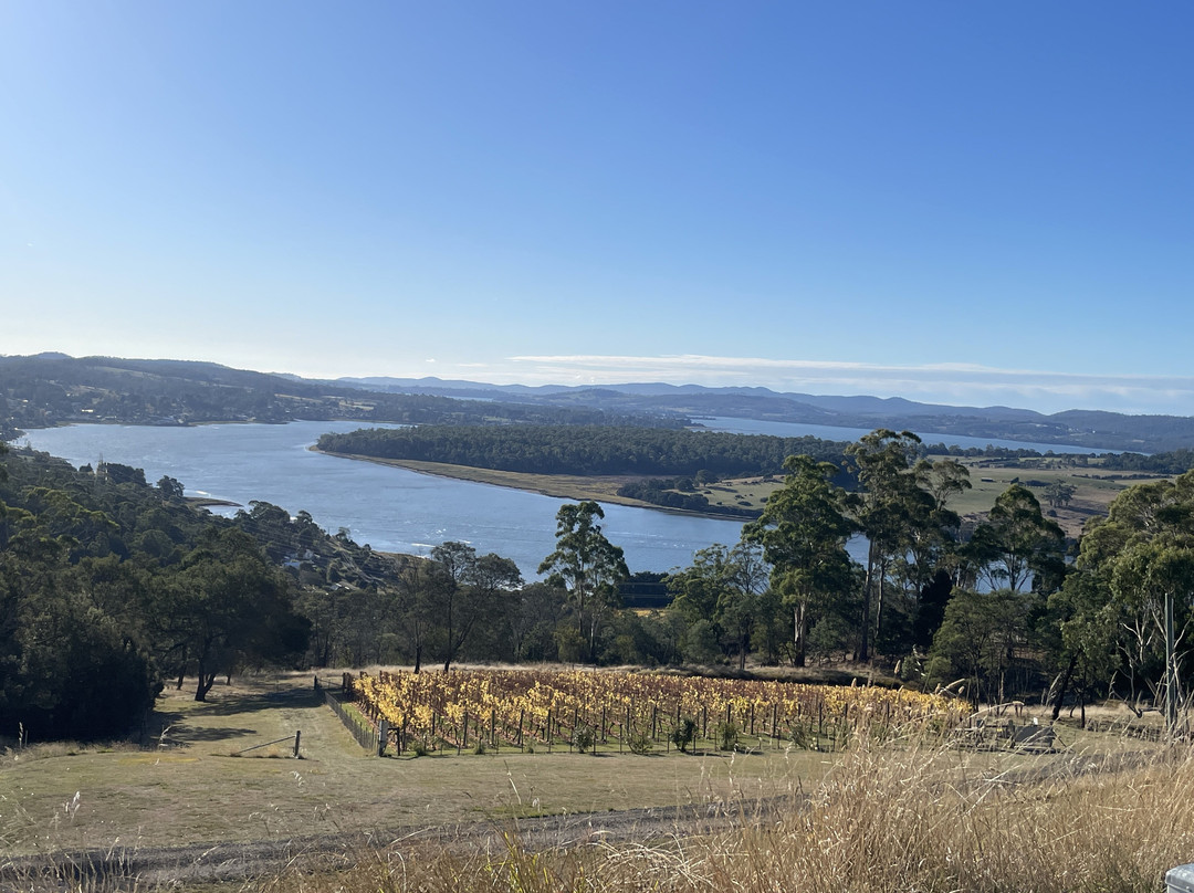 Tamar River-朗塞斯顿必去景点