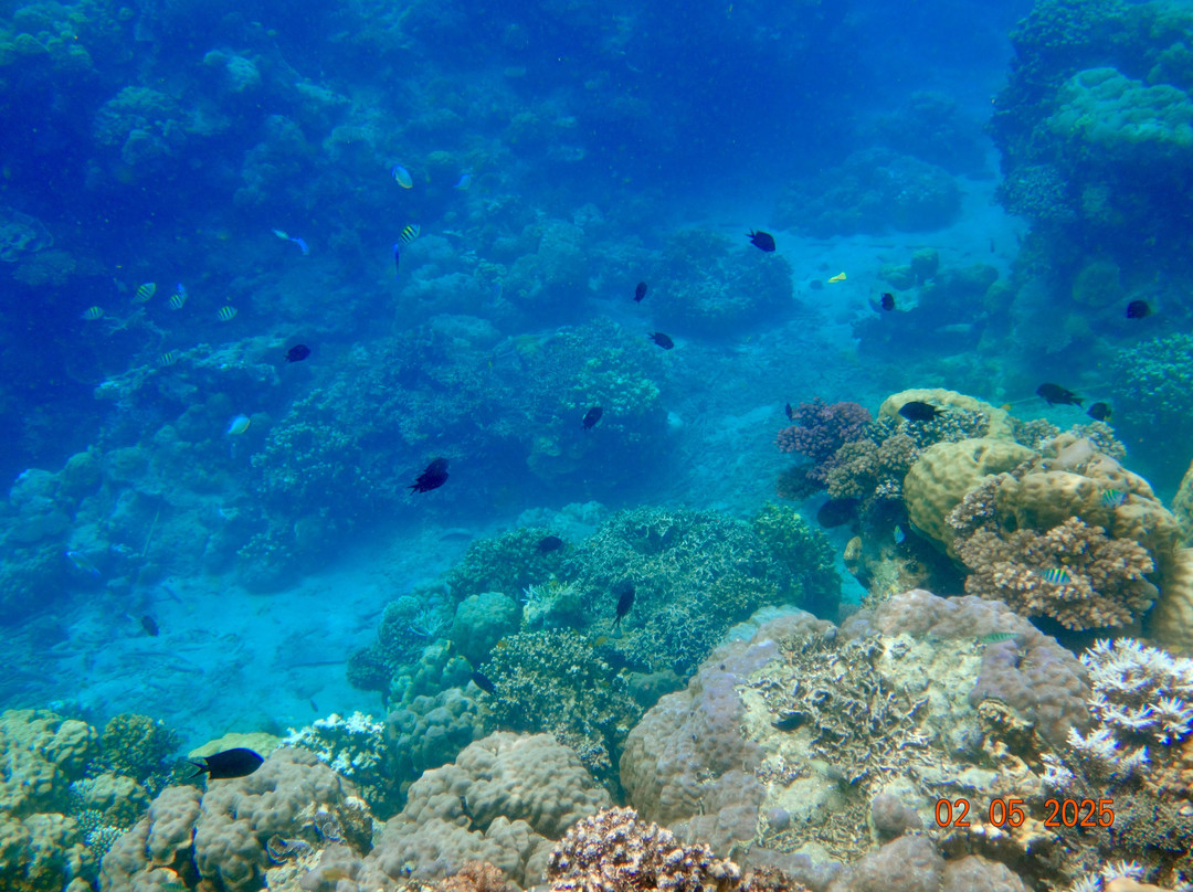 Alotau Tours-Alotau必去景点