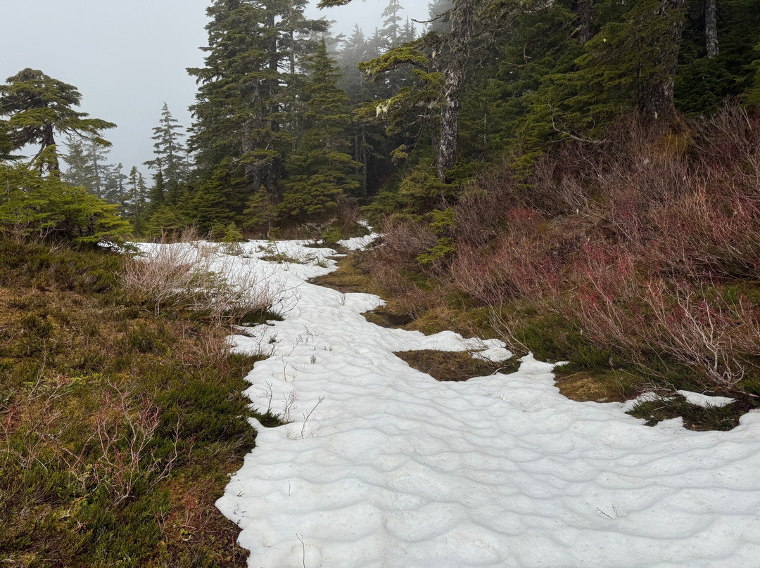 Deer Mountain Trail-凯奇坎必去景点