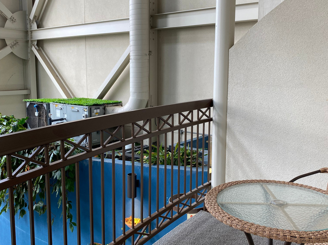 Hôtel L'oie Des Neiges主图