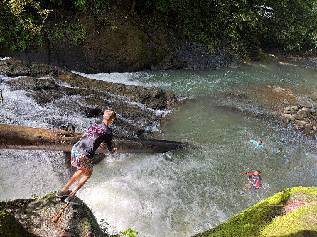 Tropical Waterfalls Tour景点图片
