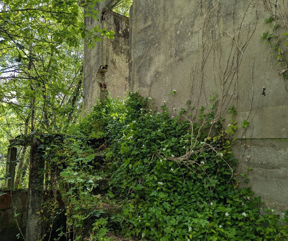 Lima Escape-Ponte da Barca必去景点