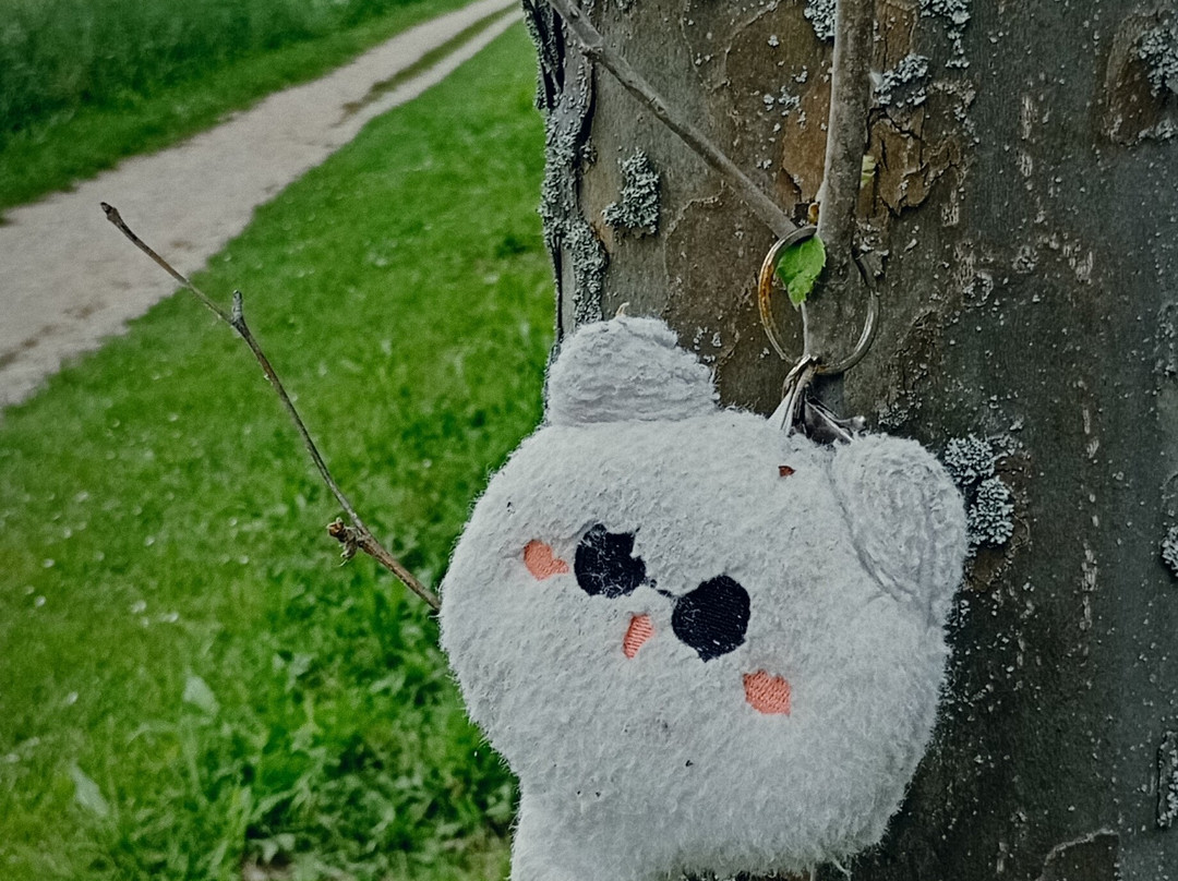 Riserva Naturale Abbadia di Fiastra景点图片