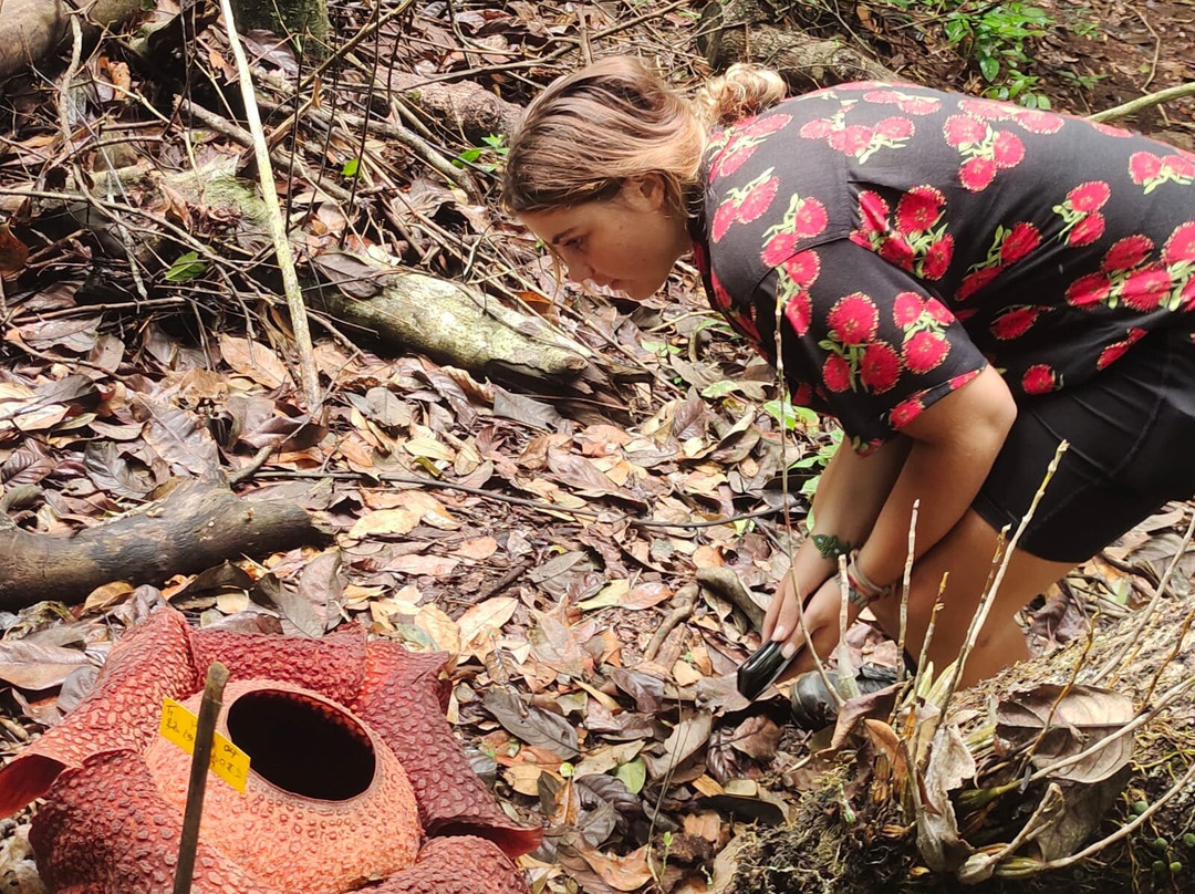 Rhino Camp, TNBBS Lampung