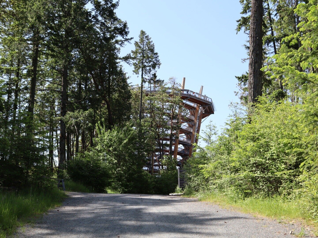 Malahat Skywalk景点图片