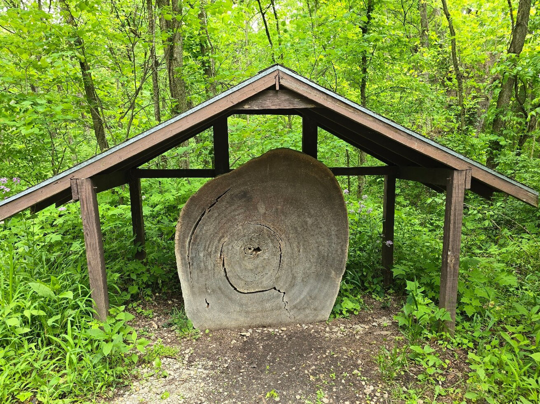 Aullwood Audubon-代顿必去景点