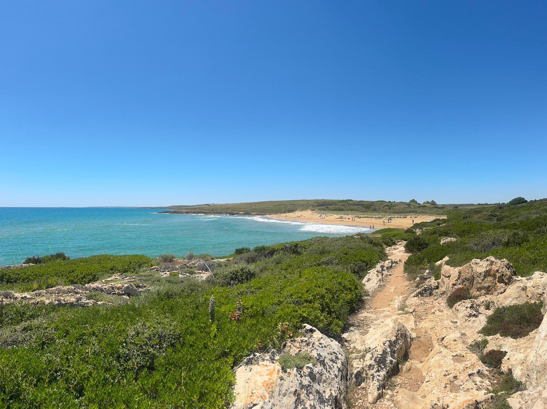 Spiaggia Della Pizzuta景点图片