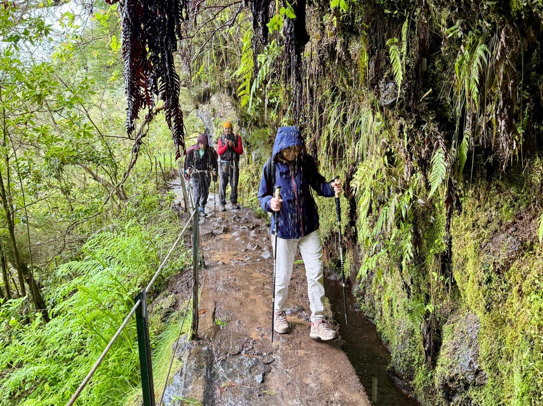 Levada Do Caldeirao Verde-Santana必去景点